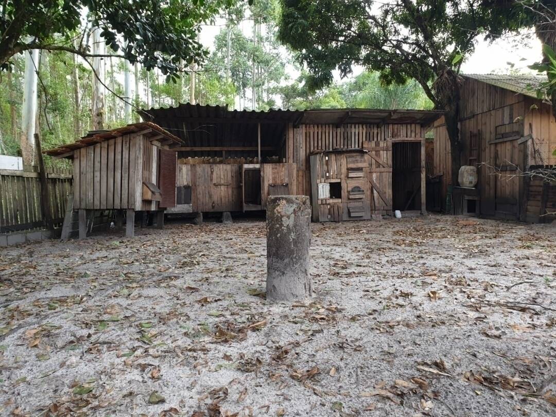 Sítio, 3 quartos, 543 m² - Foto 15