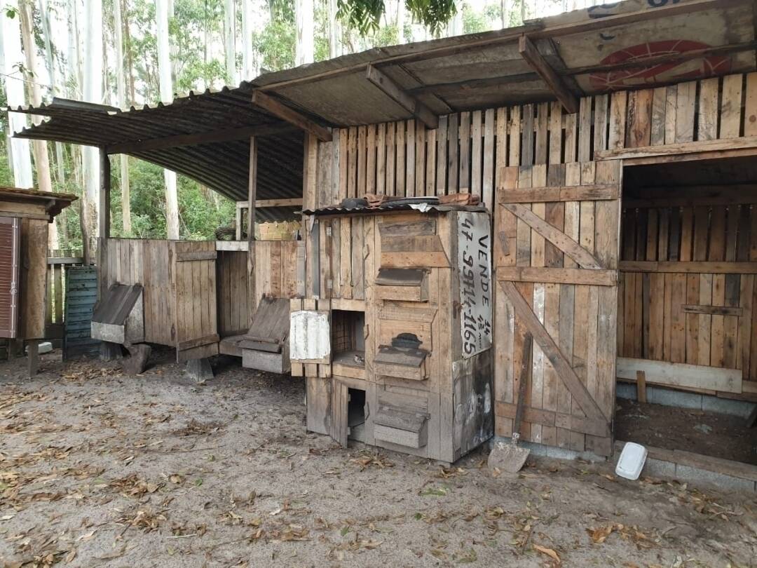 Sítio, 3 quartos, 543 m² - Foto 16