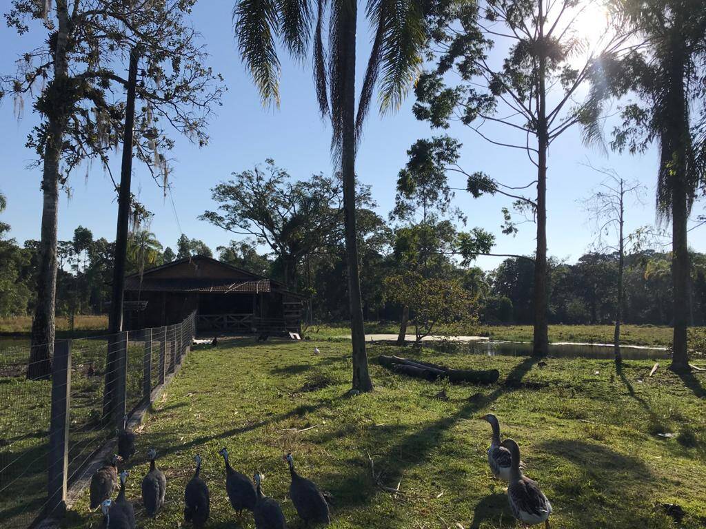Terreno, 3 hectares - Foto 16