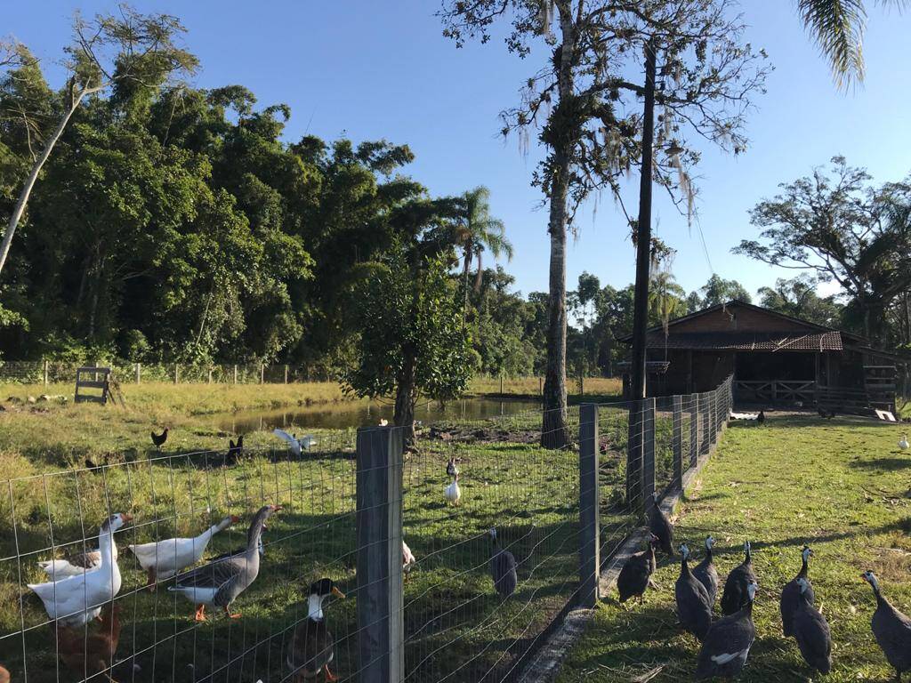 Terreno, 3 hectares - Foto 17