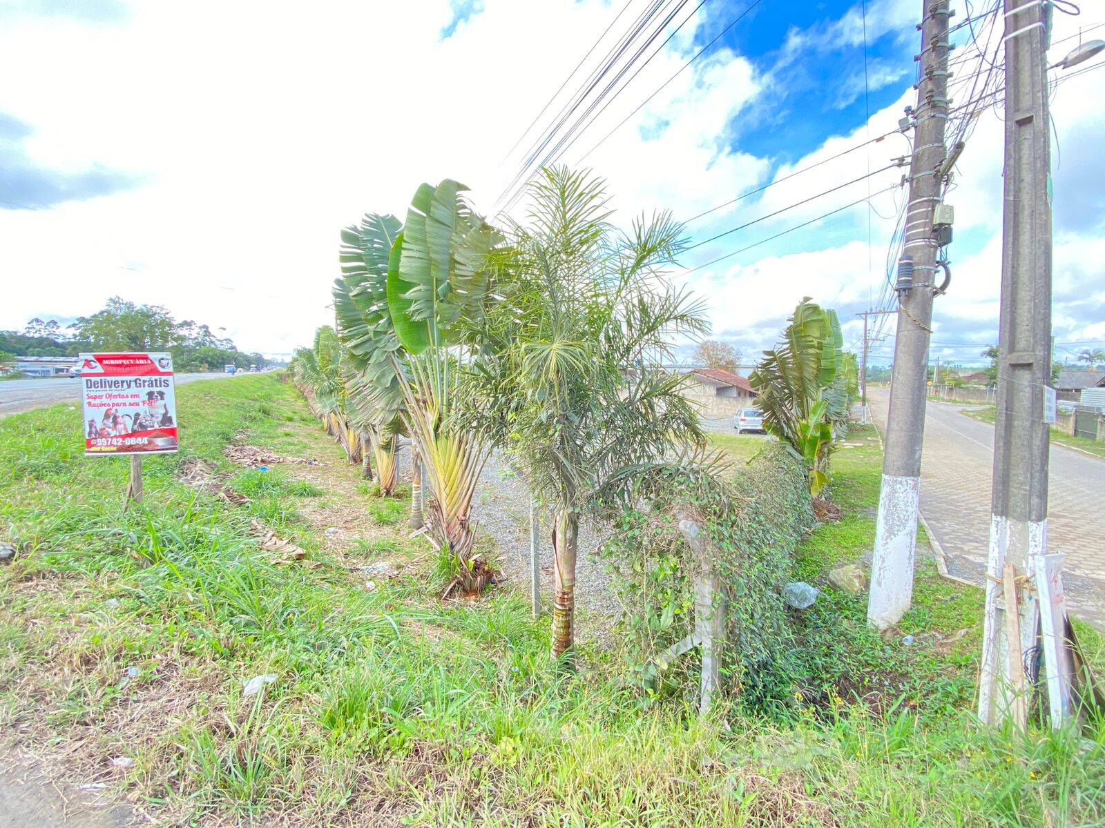 Terreno, 3780 m² - Foto 8