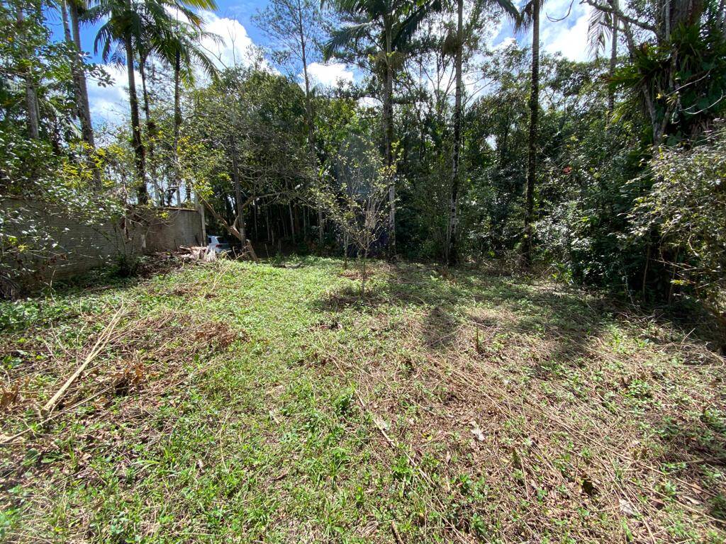 Terreno, 2 hectares - Foto 9