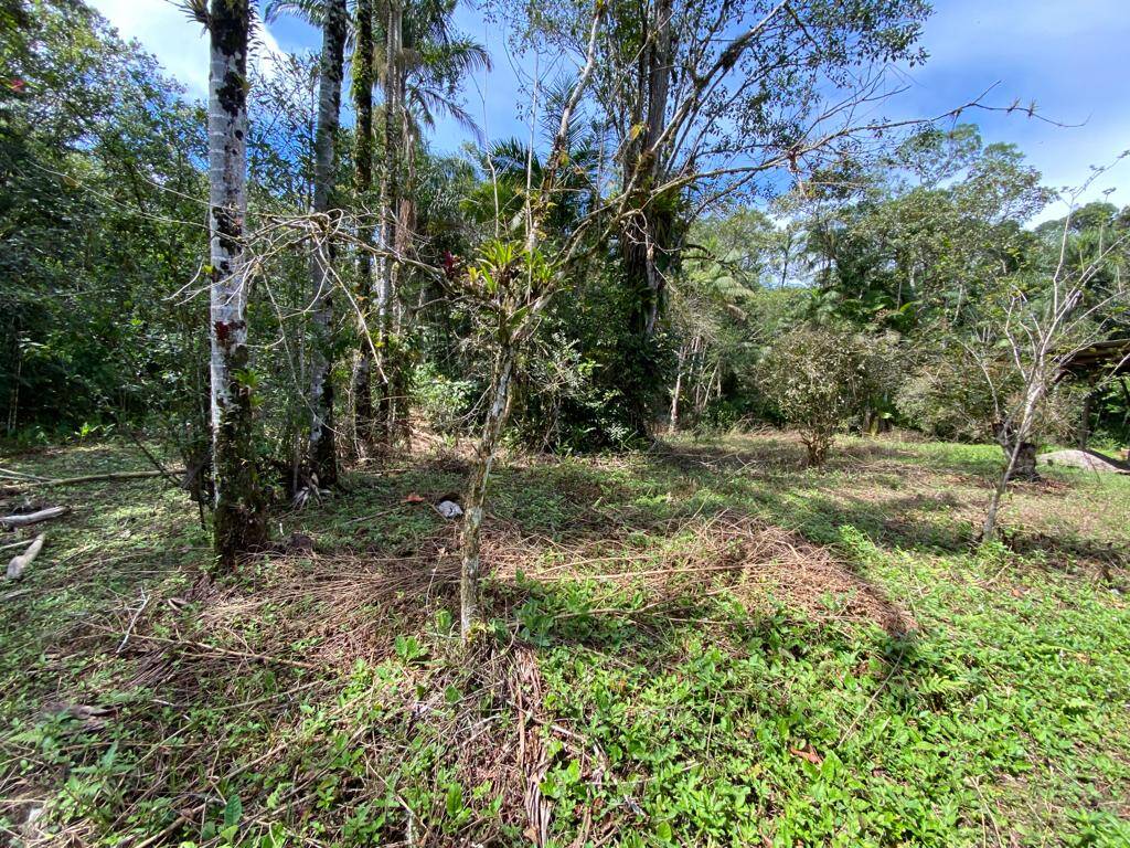 Terreno, 2 hectares - Foto 6