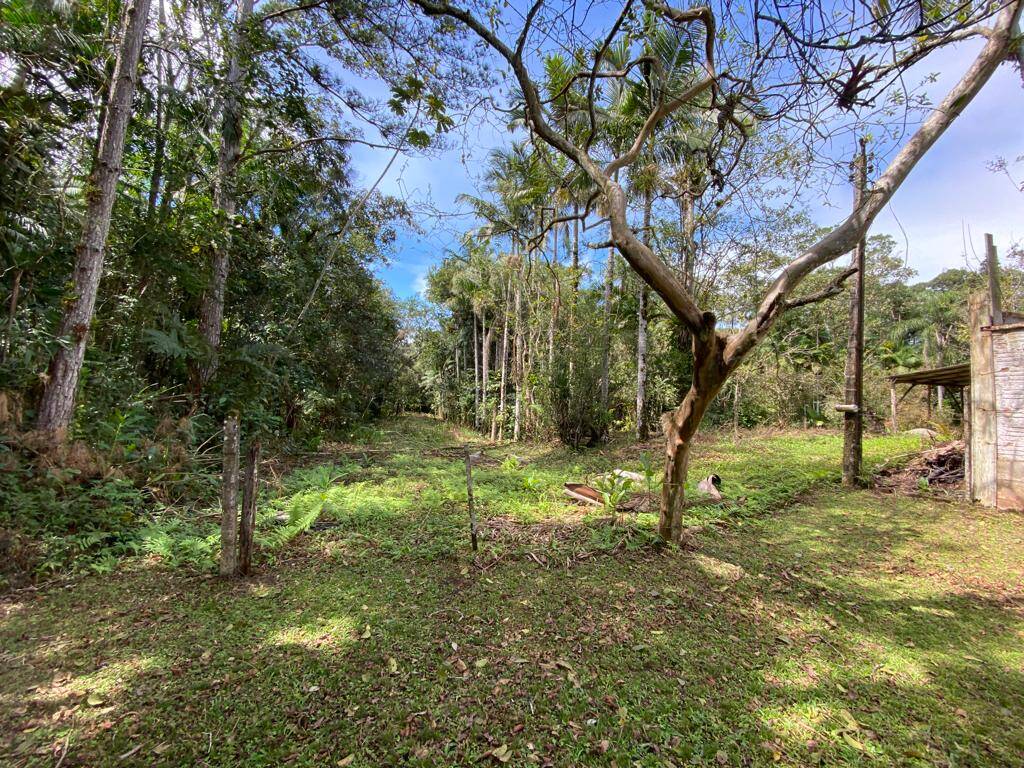 Terreno, 2 hectares - Foto 7