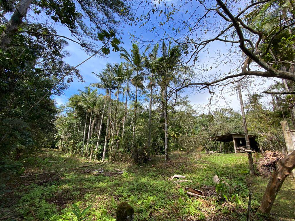 Terreno, 2 hectares - Foto 8