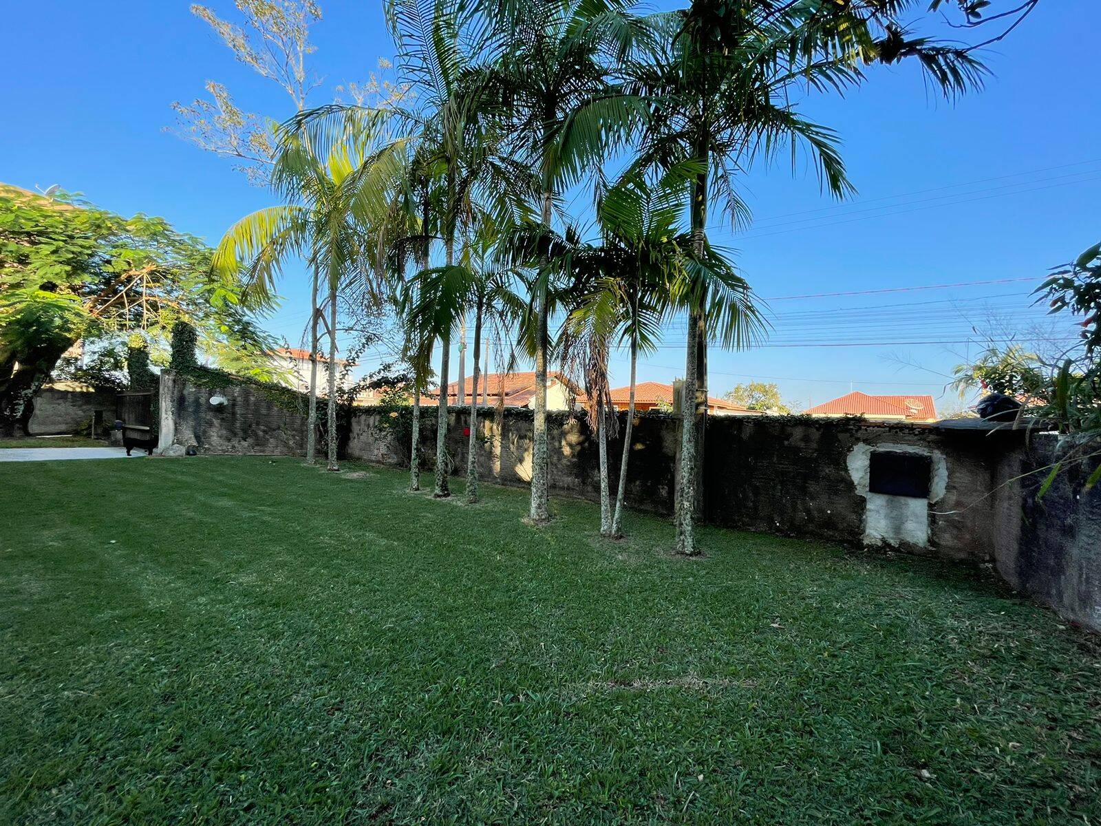 Casa, 4 quartos, 300 m² - Foto 28