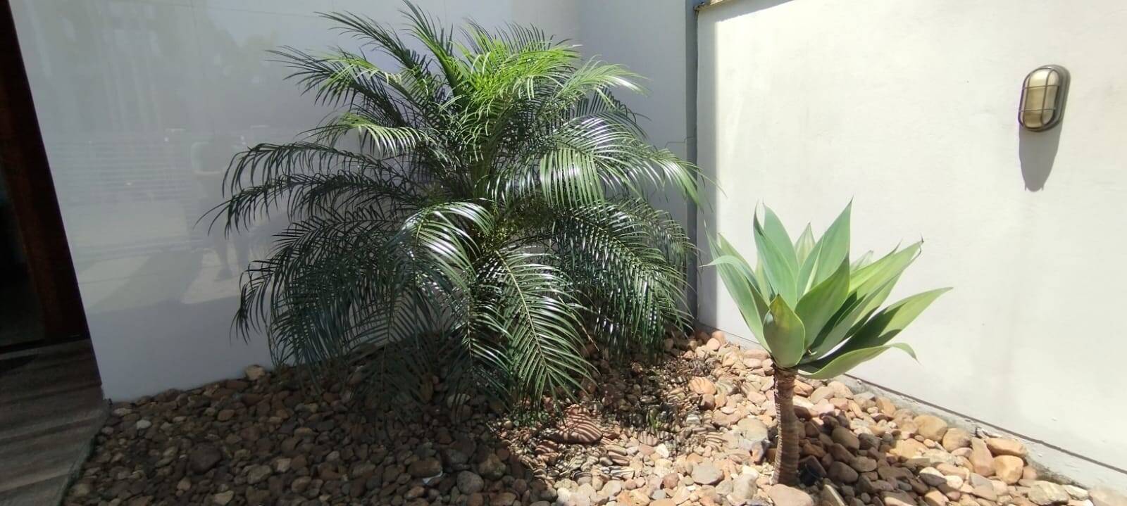 Casa, 3 quartos, 80 m² - Foto 17