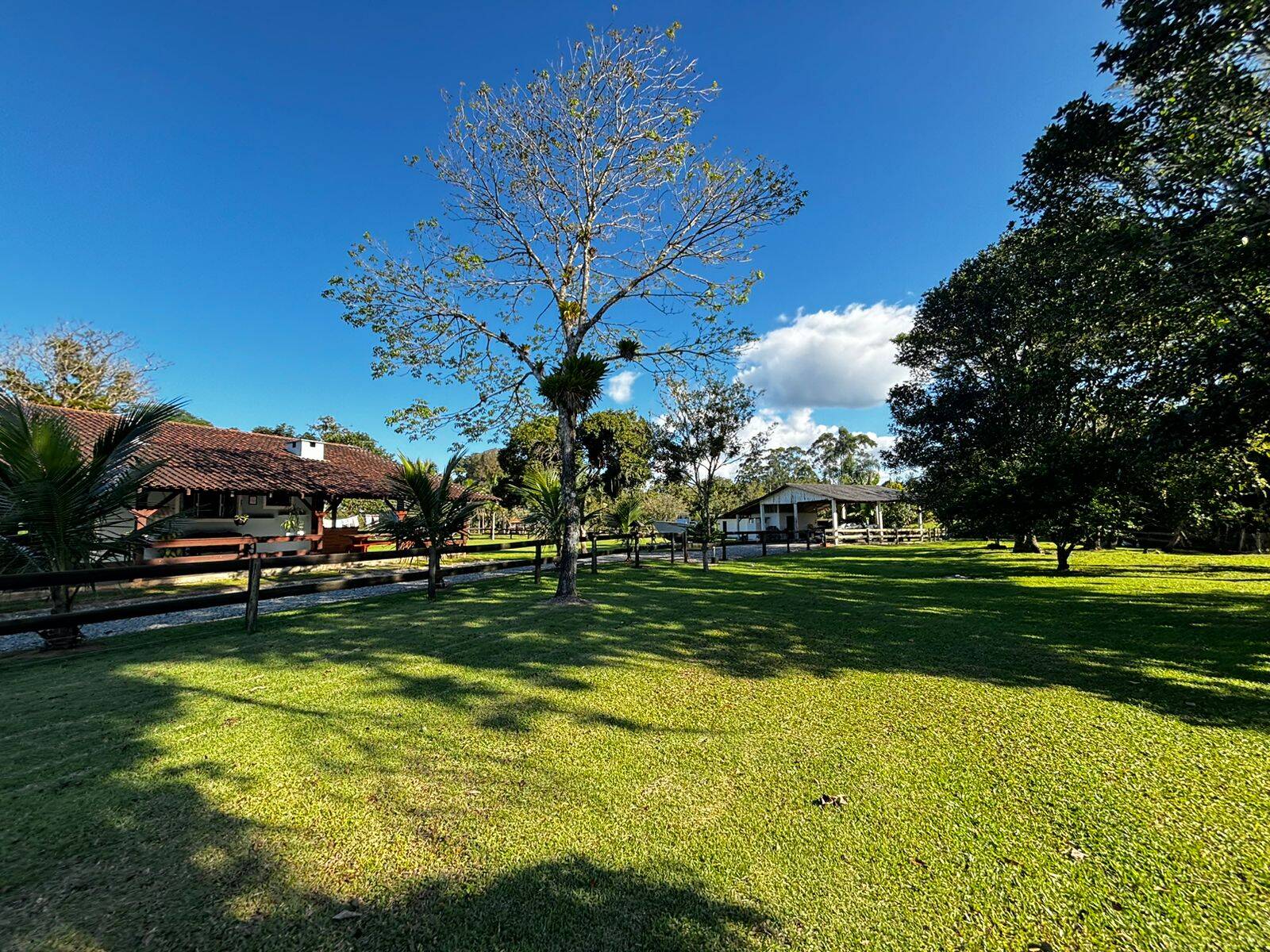 Sítio, 4 quartos, 3 hectares - Foto 19