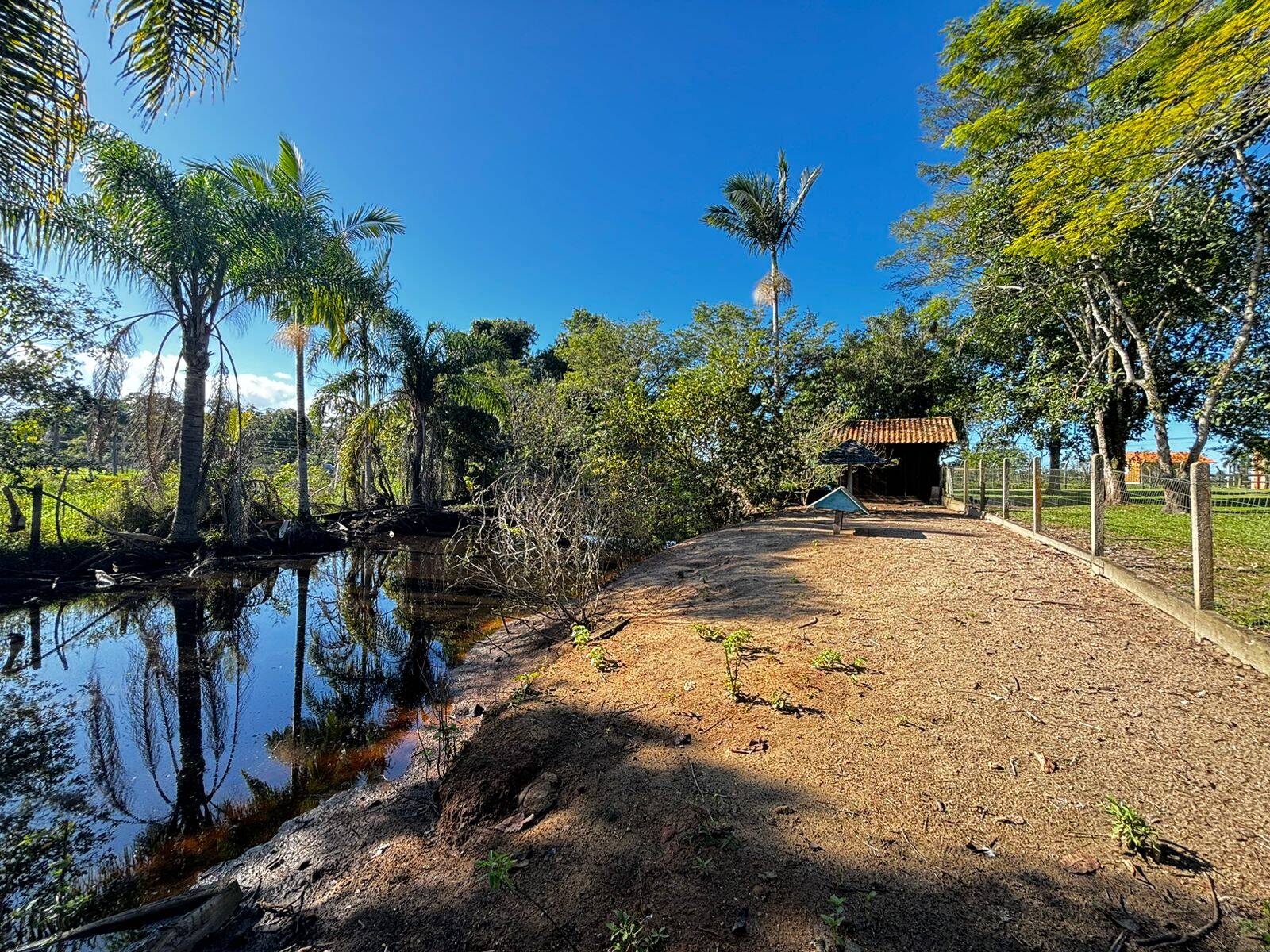 Sítio, 4 quartos, 3 hectares - Foto 30