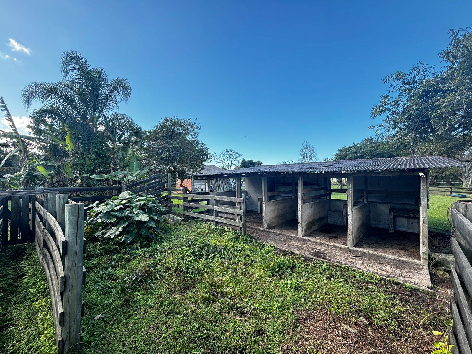 Sítio, 4 quartos, 3 hectares - Foto 38