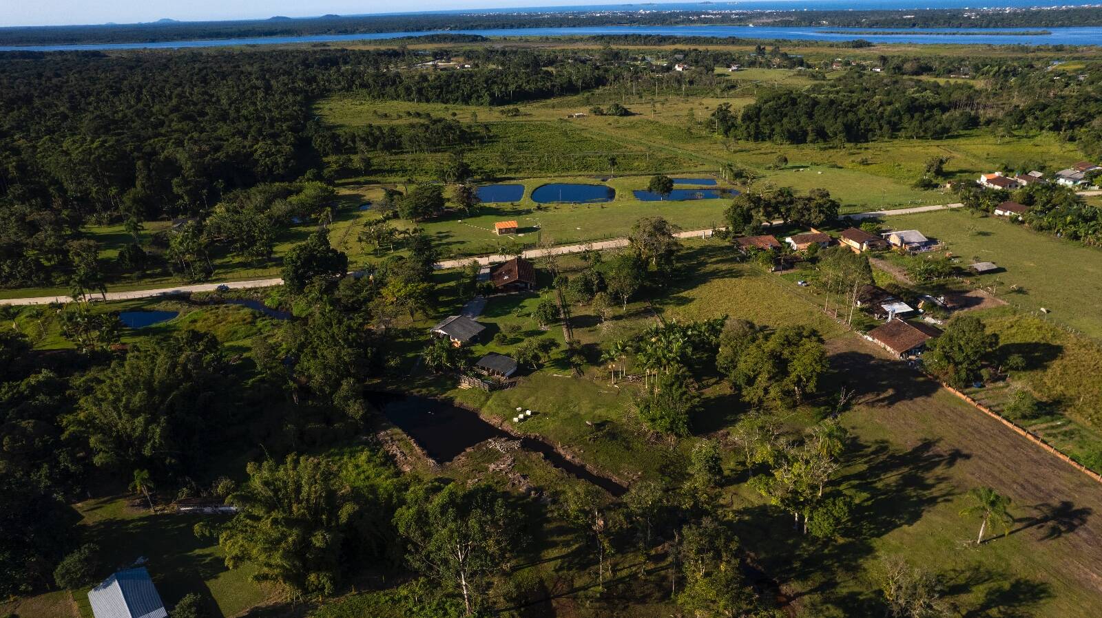 Sítio, 4 quartos, 3 hectares - Foto 48