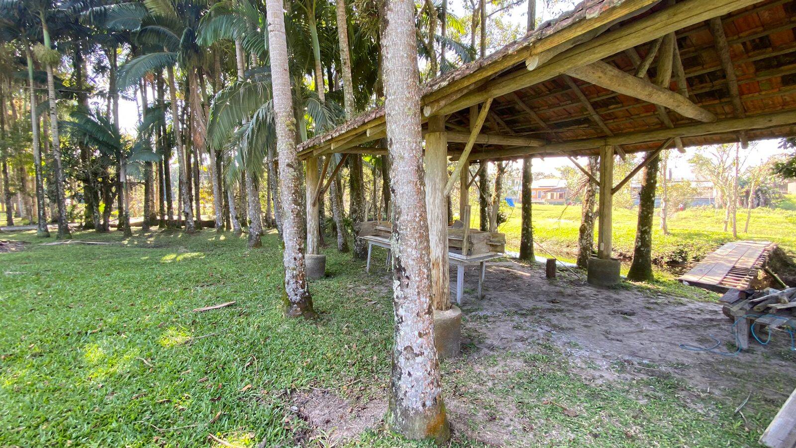 Sítio, 4 quartos, 4000 m² - Foto 8