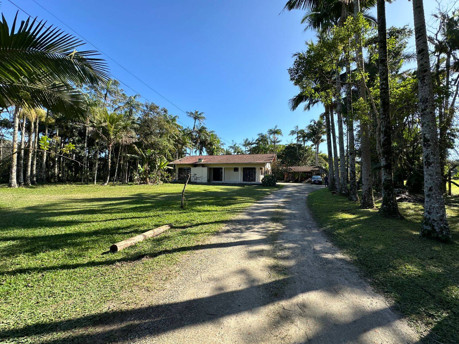 Sítio, 4 quartos, 4000 m² - Foto 2