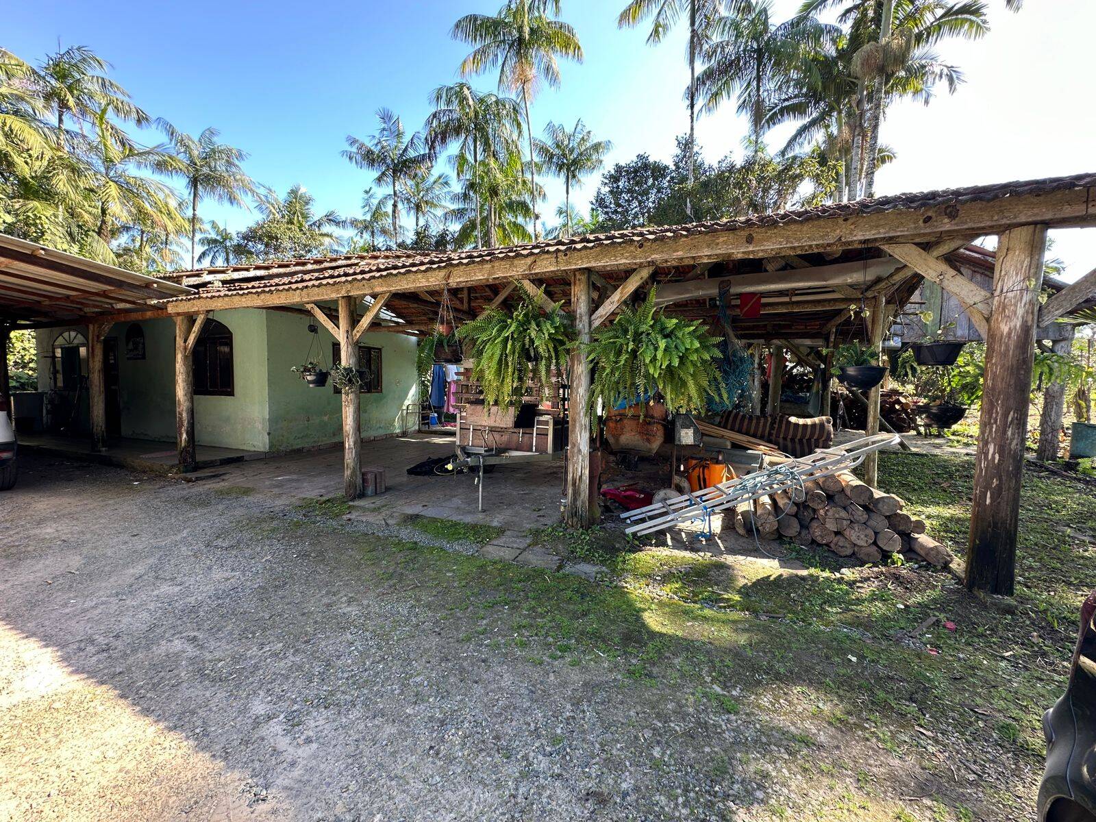 Sítio, 4 quartos, 4000 m² - Foto 19