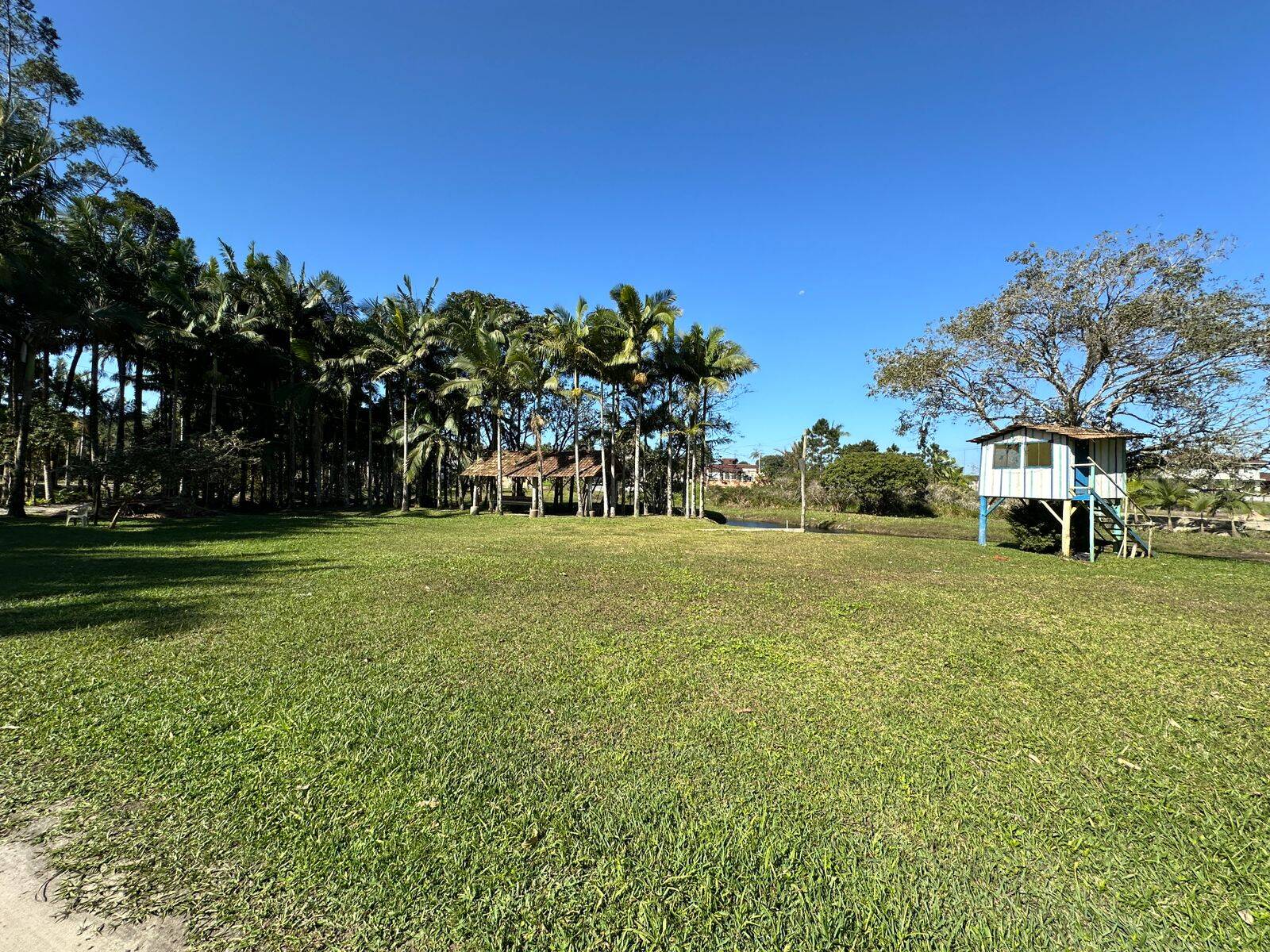 Sítio, 4 quartos, 4000 m² - Foto 10