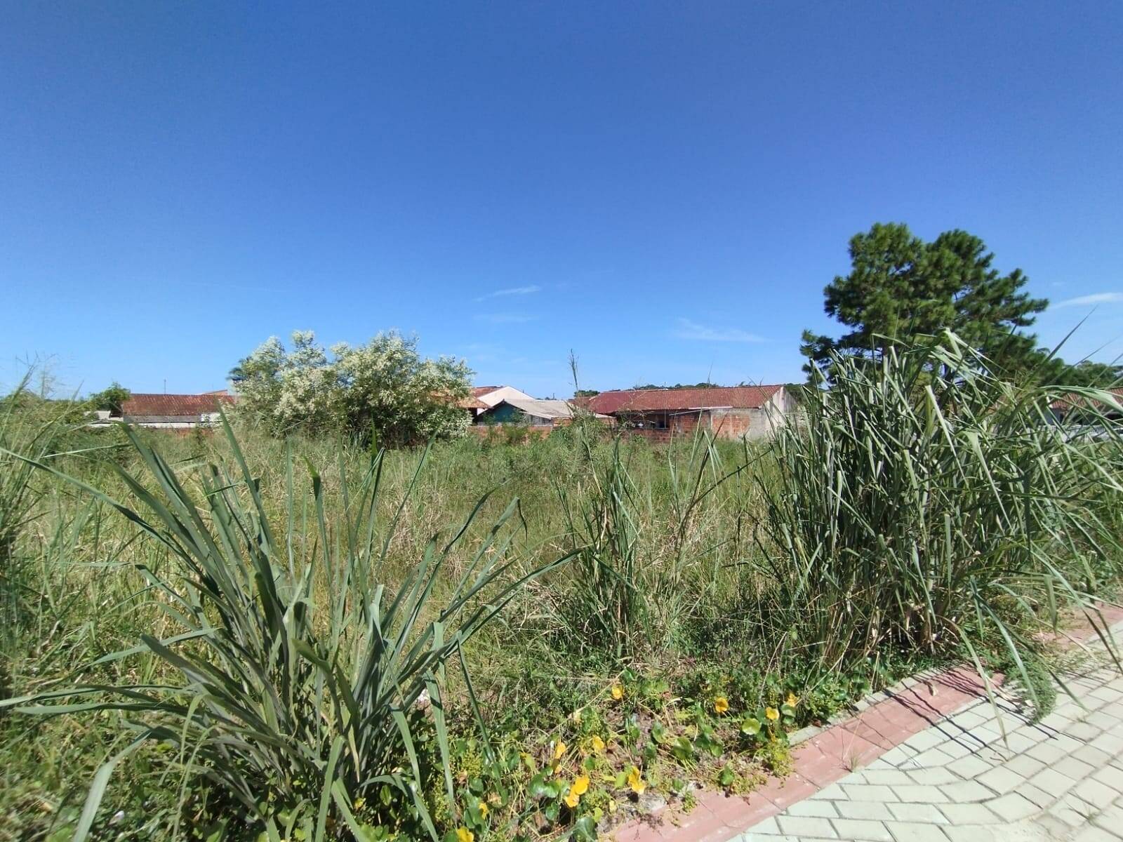 Terreno, 543 m² - Foto 2
