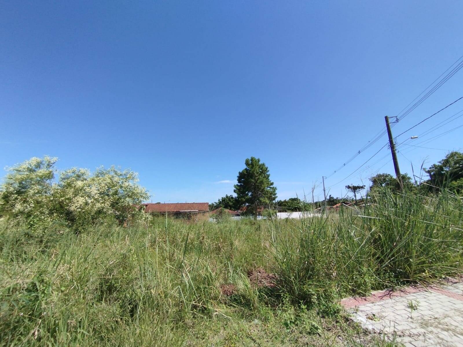 Terreno, 543 m² - Foto 4