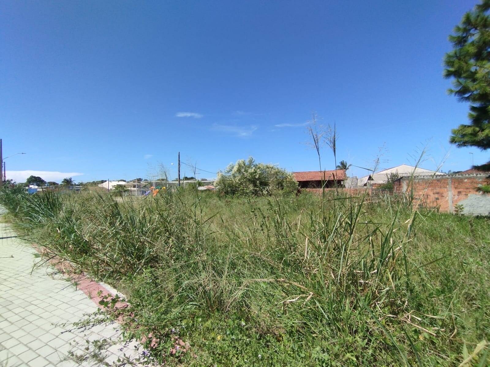 Terreno, 543 m² - Foto 3