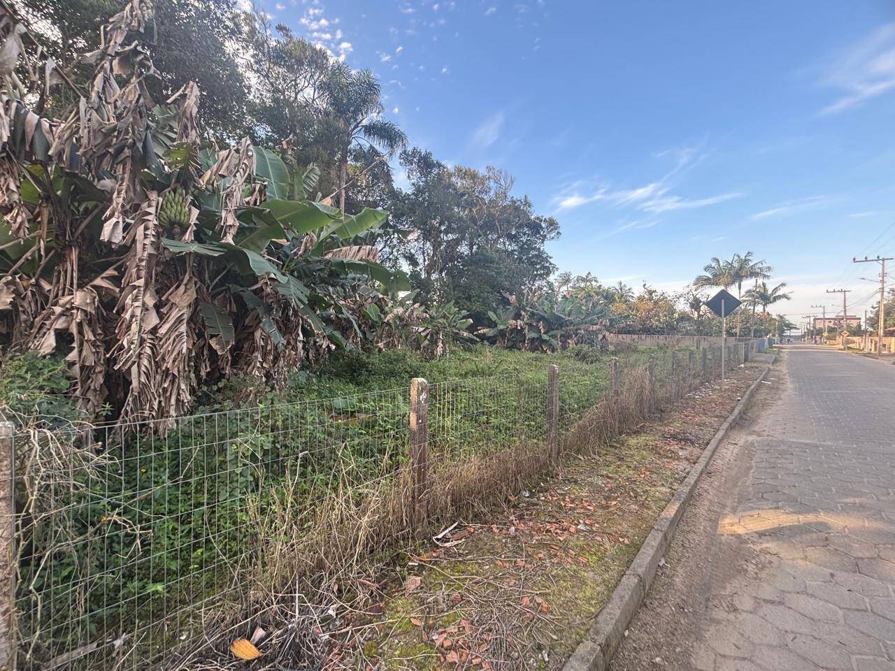 Terreno, 1650 m² - Foto 2