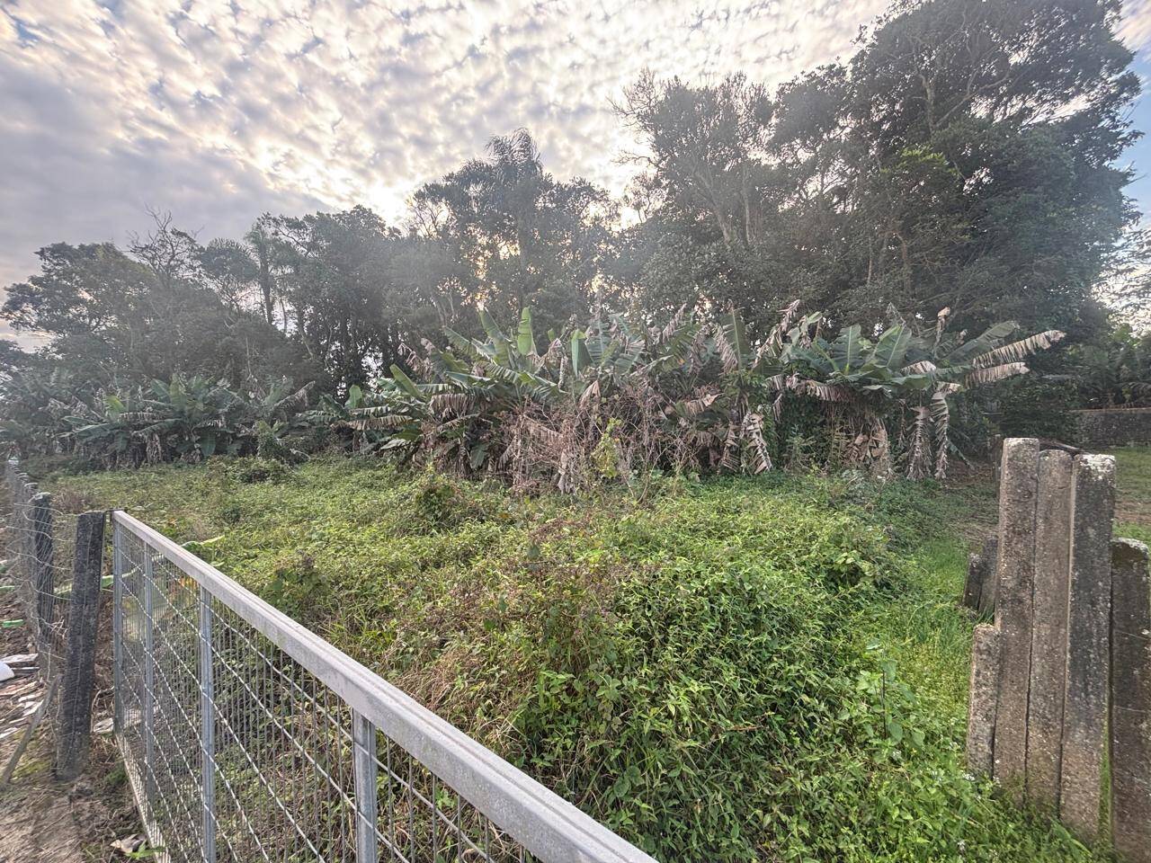 Terreno, 1650 m² - Foto 4