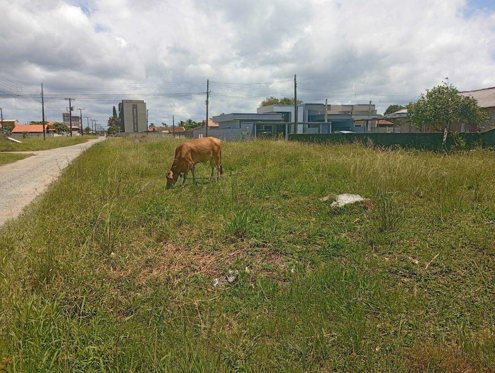 Terreno, 360 m² - Foto 4