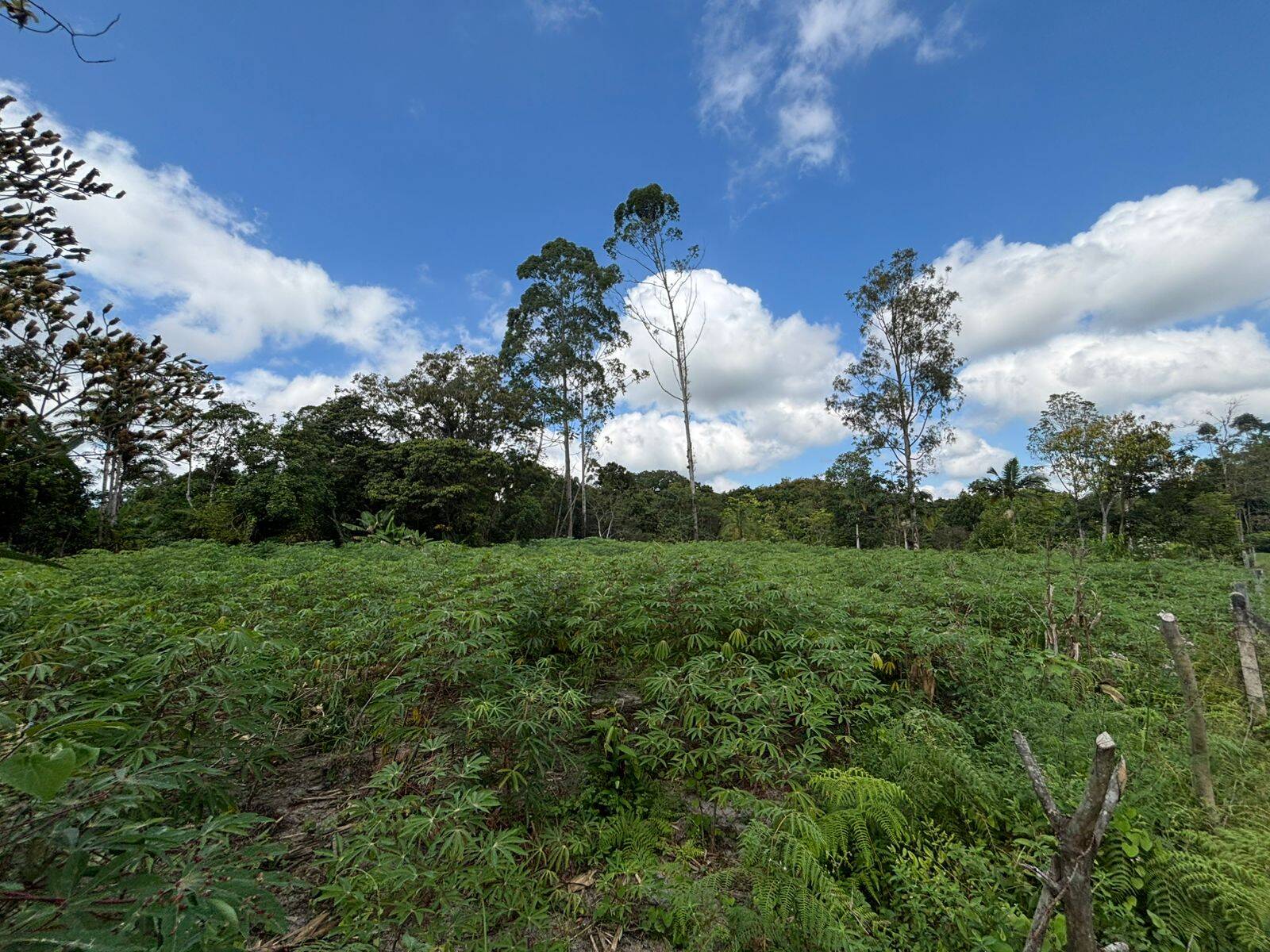 Terreno, 3188 m² - Foto 5