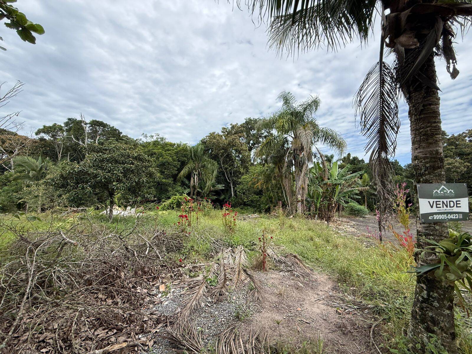 Terreno, 360 m² - Foto 3