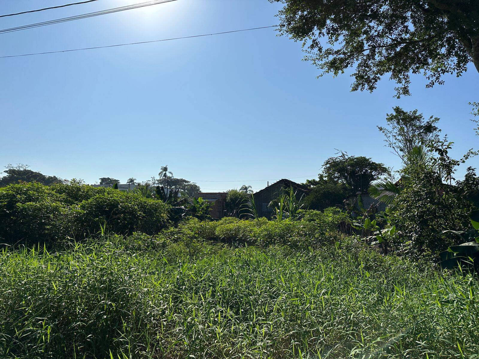 Terreno, 300 m² - Foto 1