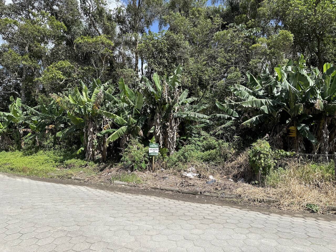 Terreno, 1650 m² - Foto 3
