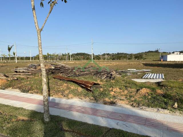 Terreno para Venda em Araquari - 3