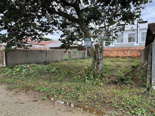 Terreno para Venda em Balneário Barra do Sul - 3