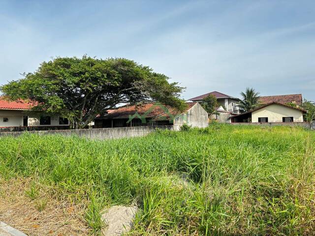 Terreno para Venda em Balneário Barra do Sul - 3