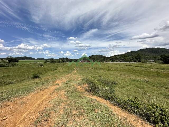 #2537 - Terreno para Venda em Guaramirim - SC - 3