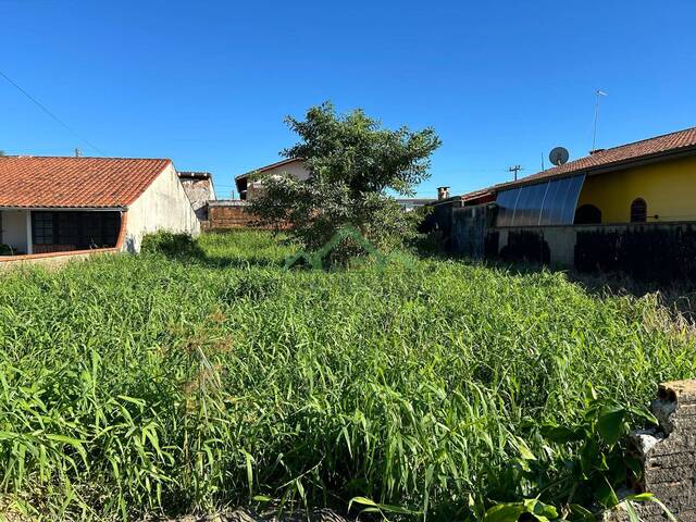 #2580 - Terreno para Venda em Balneário Barra do Sul - SC - 3
