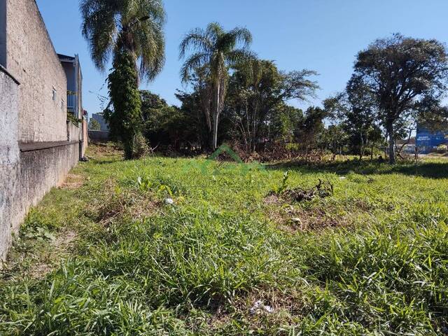 #2584 - Terreno para Venda em Balneário Barra do Sul - SC - 2