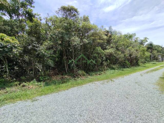 #2746 - Terreno para Venda em Balneário Barra do Sul - SC - 2