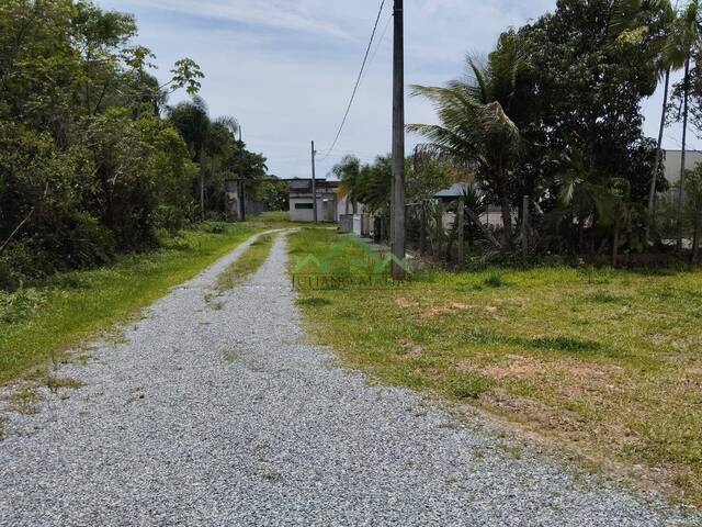 #2746 - Terreno para Venda em Balneário Barra do Sul - SC - 3