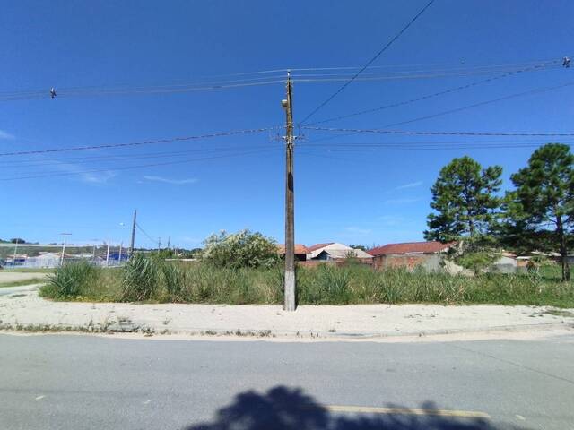 #2801 - Terreno para Venda em Balneário Barra do Sul - SC - 1