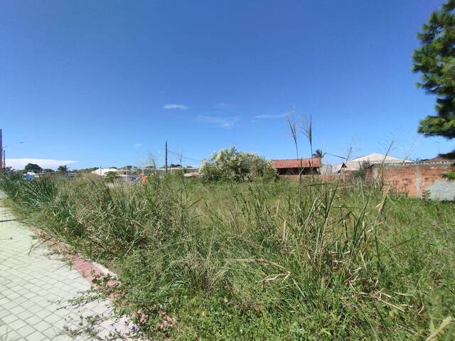 #2801 - Terreno para Venda em Balneário Barra do Sul - SC - 3