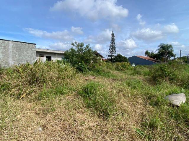 #1163 - Terreno para Venda em Balneário Barra do Sul - SC - 3