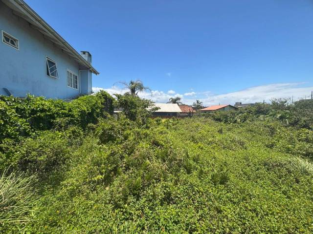 Terreno para Venda em Balneário Barra do Sul - 3
