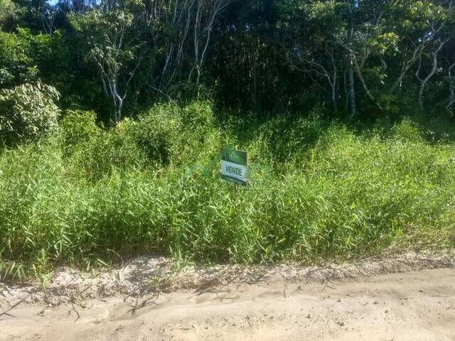 Terreno para Venda em Balneário Barra do Sul - 1