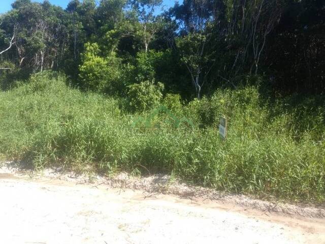 Terreno para Venda em Balneário Barra do Sul - 4