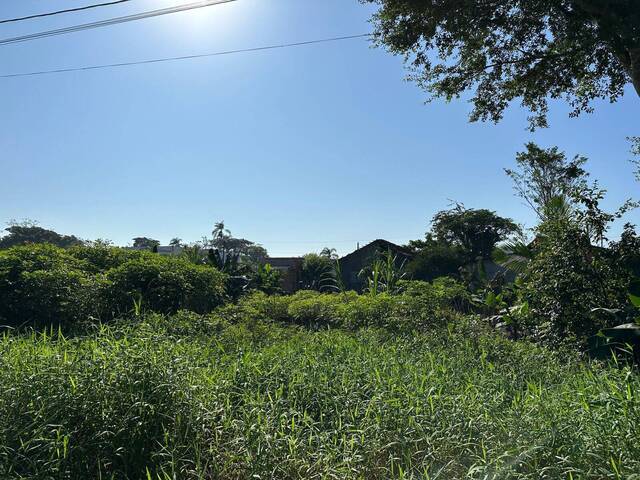 #2599 - Terreno para Venda em Balneário Barra do Sul - SC - 1