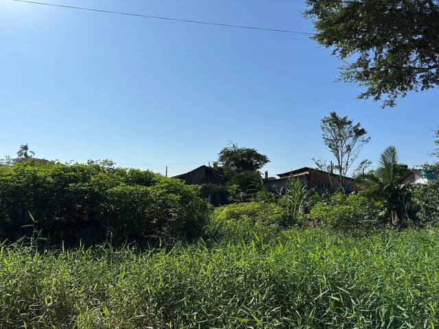 #2599 - Terreno para Venda em Balneário Barra do Sul - SC - 2