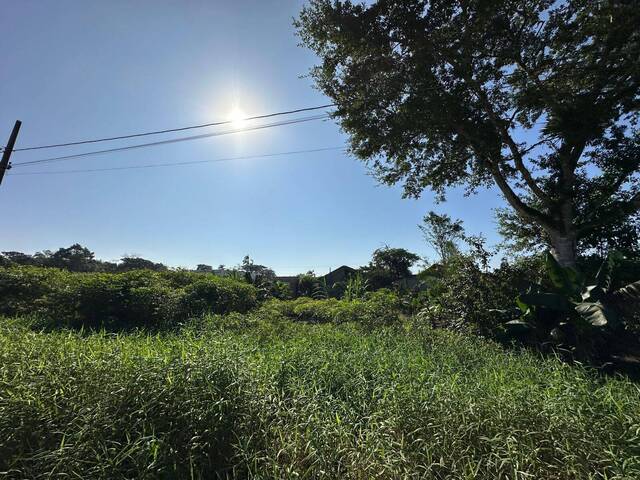 #2599 - Terreno para Venda em Balneário Barra do Sul - SC - 3