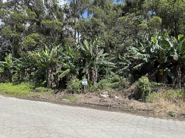 #2849 - Terreno para Venda em Balneário Barra do Sul - SC - 3
